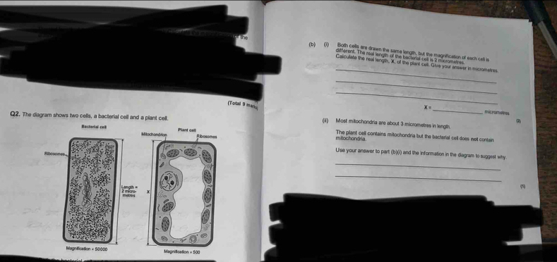 Both cells are drawn the same longth, but the magnification of each cell is 
offerent. The real lengin of the bacterial cell is 2 micrometres 
_ 
Calculate the real length, X, of the plant cell. Give your answer in micrometres 
_ 
(Total 9 mans 
_
x= _ micnometres 
Q2. The diagram shows two cells, a bacterial cell and a plant celll. 
(ii) Most mitochondria are about 3 micrometres in length 
mitochondria The plant cell contains mitochondria but the bacterial cell does not contain 
_ 
Use your answer to part (b)(i) and the information in the diagram to suggest why 
_ 
()
