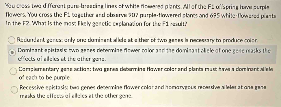 You cross two different pure-breeding lines of white flowered plants. All of the F1 offspring have purple
flowers. You cross the F1 together and observe 907 purple-flowered plants and 695 white-flowered plants
in the F2. What is the most likely genetic explanation for the F1 result?
Redundant genes: only one dominant allele at either of two genes is necessary to produce color.
Dominant epistasis: two genes determine flower color and the dominant allele of one gene masks the
effects of alleles at the other gene.
Complementary gene action: two genes determine flower color and plants must have a dominant allele
of each to be purple
Recessive epistasis: two genes determine flower color and homozygous recessive alleles at one gene
masks the effects of alleles at the other gene.