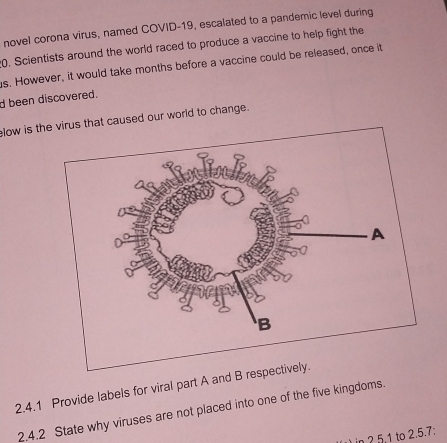 novel corona virus, named COVID-19, escalated to a pandemic level during 
0. Scientists around the world raced to produce a vaccine to help fight the 
s. However, it would take months before a vaccine could be released, once it 
d been discovered. 
low is ths that caused our world to change. 
2.4.1 Provide labels for viral part A and B 
2.4.2 State why viruses are not placed into one of the five kingdoms. 
in 2 5.1 to 2.5.7;