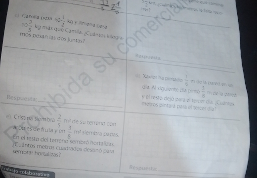 circ  he que caminan 
m etro l e f l rec 
c) Camila pesa 60 1/2 kg y Jimena pesa
10 2/5 kg más que Camila. ¿Cuántos kilogra 
mos pesan las dos juntas? 
_ 
Respuesta 
d) Xavier ha pintado  1/6  m de la pared en un 
dia. Al siguiente día pintó  3/8  m de la pared 
y el resto dejó para el tercer día. ¿Cuántos 
Respuesta: _metros pintará para el tercer día? 
e) Cristina siembra  2/5 m^2_2 de su terreno con 
árboles de fruta y en  3/8 m^2 siembra papas. 
En el resto del terreno sembró hortalizas. 
Cuántos metros cuadrados destinó para 
sembrar hortalizas? 
_ 
Respuesta 
Trabajo colaboratívo In