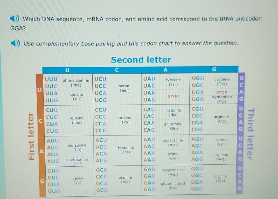 Resuelto:Which DNA sequence, mRNA codon, and amino acid correspond to ...