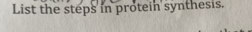 List the steps in protein synthesis.