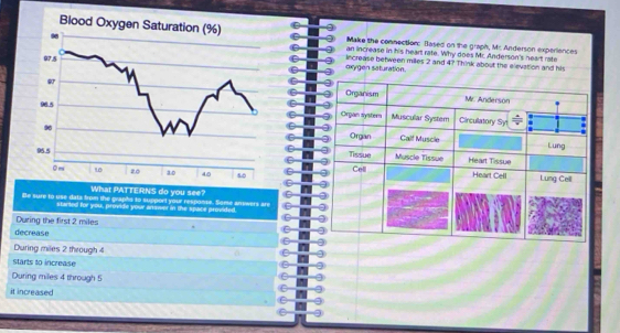 Make the connection: Based on the graph, Mr. Anderson experiences
an increase in his heart rate. Why does Mr. Anderson's heart rate
oxygen saturation. increase between milles 2 and 4? Think about the elevation and his
What PATTERNS do you see?
Be sure to use data from the graphs to support your response. Some anewers are
started for you, provide your ansiver in the space provided.
During the first 2 miles
decrease
During miles 2 through 4
starts to increase
During miles 4 through 5
it increased