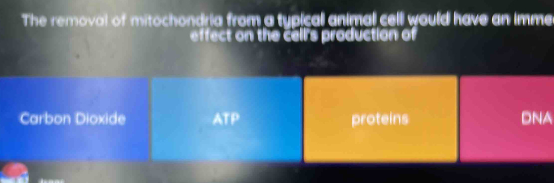 The removal of mitochondria from a typical animal cell would have an imme 
effect on the cell's production of 
Carbon Dioxide ATP proteins DNA