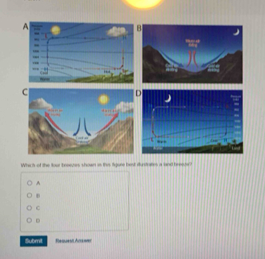 Which of the four breezes shown in this figure best illustrates a land breeze?
^
B
C
D
Submit Request Anxwer