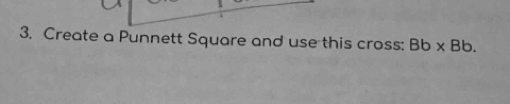 Create a Punnett Square and use this cross: Bb* Bb.