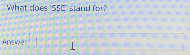 What does 'SSE' stand for? 
Answer: □