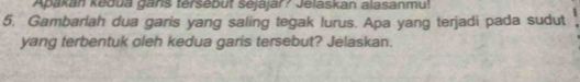 Apakan kēdua gans tersébut séjájar? Jelaskan alasanmu! 
5. Gambarlah dua garis yang saling tegak lurus. Apa yang terjadi pada sudut 
yang terbentuk oleh kedua garis tersebut? Jelaskan.