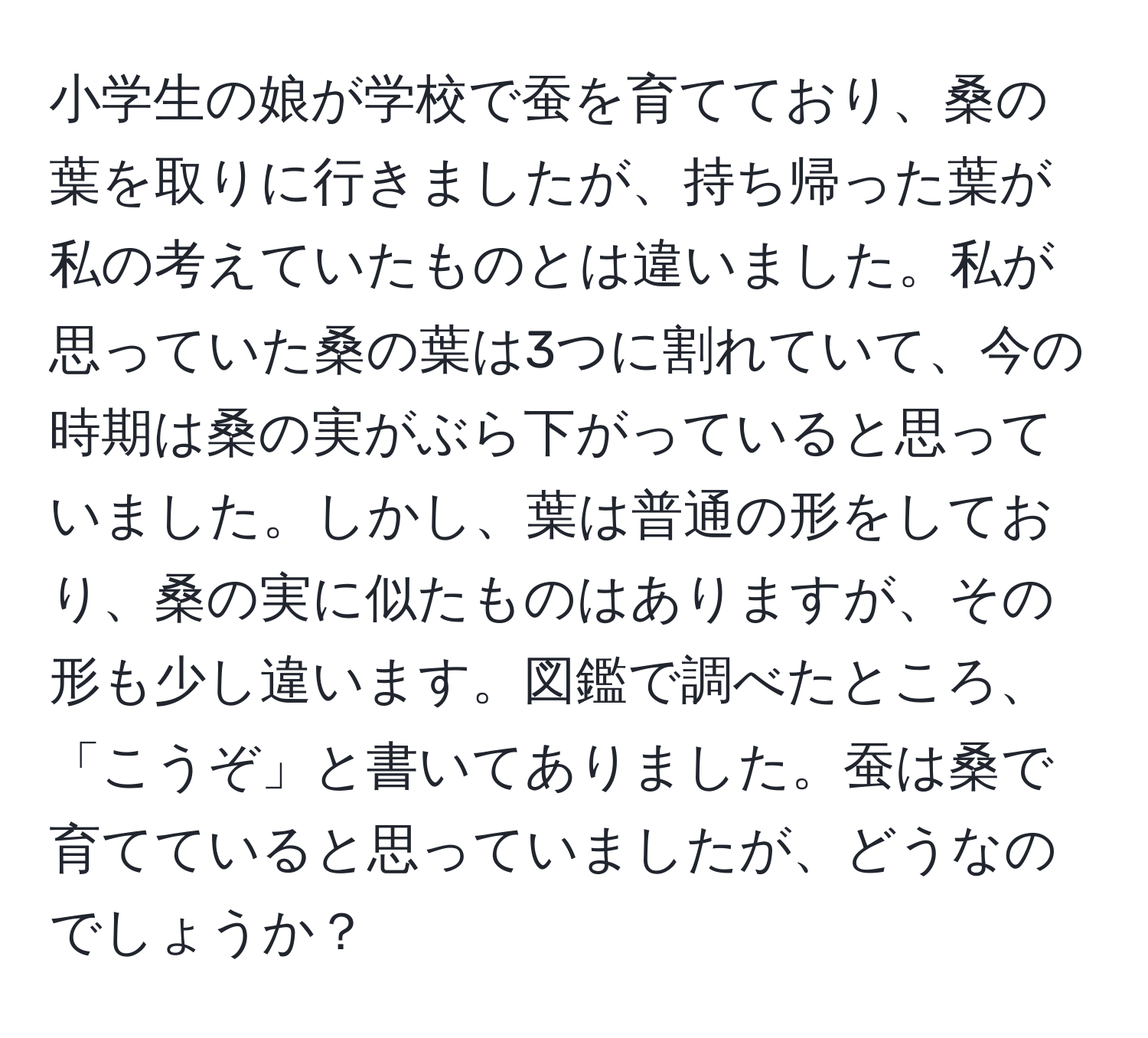 小学生の娘が学校で蚕を育てており、桑の葉を取りに行きましたが、持ち帰った葉が私の考えていたものとは違いました。私が思っていた桑の葉は3つに割れていて、今の時期は桑の実がぶら下がっていると思っていました。しかし、葉は普通の形をしており、桑の実に似たものはありますが、その形も少し違います。図鑑で調べたところ、「こうぞ」と書いてありました。蚕は桑で育てていると思っていましたが、どうなのでしょうか？