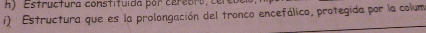 Estructura constituída por cérebro, cérebel 
i): Estructura que es la prolongación del tronco encefálico, protegida por la columa