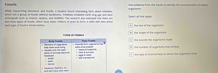 Fossils Use evidence from the fossils to identify the characteristics of extince
While researching dinosaurs and fossils, a student found interesting facts about trilobites, organisms.
which are a group of fossils without backbones. Trilobites inhabited Earth long ago and were
arthropods such as insects, spiders, and shellfish. The research also indicated that there are Select all that apply.
two main types of fossils, which have taken millions of years to form. A table with data about
each type of fossil is shown below. A the size of the organisms
# the shape of the organisms
c the sounds the organisms made
D the number of organisms that existed
€ the type of environment in which the organisms lived
and skin have also b