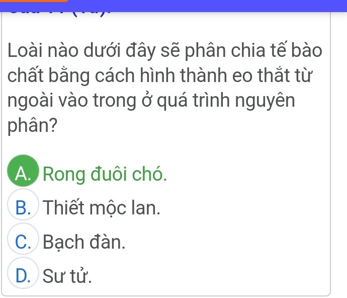 Loài nào dưới đây sẽ phân chia tế bào
chất bằng cách hình thành eo thắt từ
ngoài vào trong ở quá trình nguyên
phân?
A. Rong đuôi chó.
B. Thiết mộc lan.
C. Bạch đàn.
D. Sư tử.