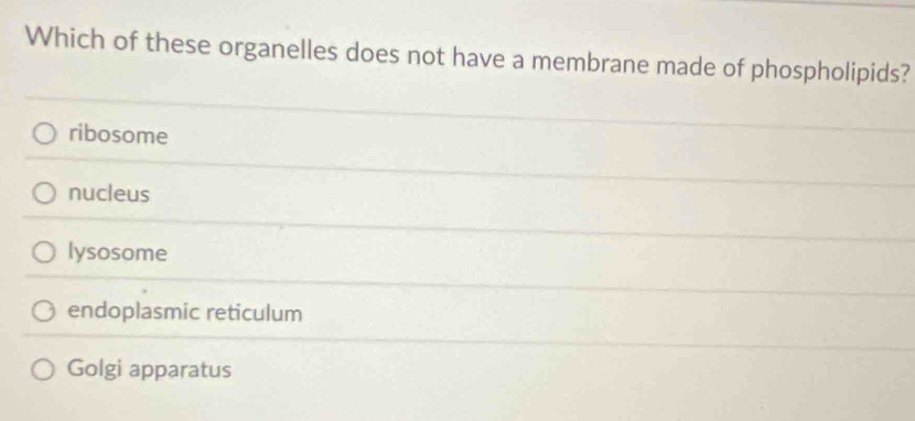 Which of these organelles does not have a membrane made of phospholipids?
ribosome
nucleus
lysosome
endoplasmic reticulum
Golgi apparatus