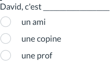 David, c'est_
un ami
une copine
une prof