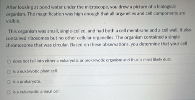 After looking at pond water under the microscope, you drew a picture of a biological
organism. The magnification was high enough that all organelles and cell components are
visible.
This organism was small, single-celled, and had both a cell membrane and a cell wall. It also
contained ribosomes but no other cellular organelles. The organism contained a single
chromosome that was circular. Based on these observations, you determine that your cell
does not fall into either a eukaryotic or prokaryotic organism and thus is most likely dust.
is a eukaryotic plant cell.
is a prokaryote.
is a eukaryotic animal cell.