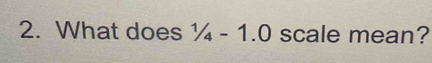 What does 1/4-1.0 scale mean?