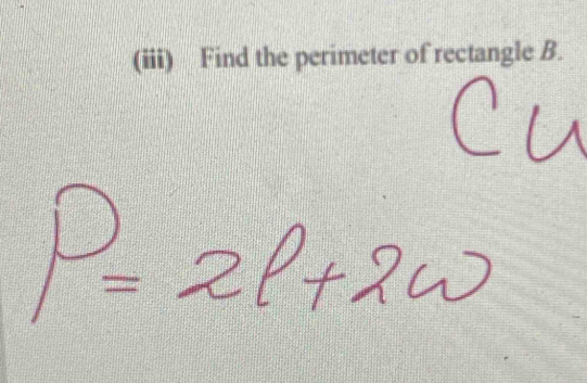 (iii) Find the perimeter of rectangle B.