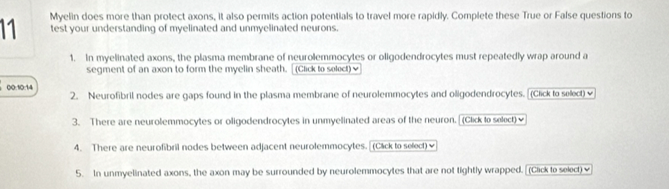 Myelin does more than protect axons, it also permits action potentials to travel more rapidly. Complete these True or False questions to 
test your understanding of myelinated and unmyelinated neurons. 
1. In myelinated axons, the plasma membrane of neurolemmocytes or oligodendrocytes must repeatedly wrap around a 
segment of an axon to form the myelin sheath. [(Click to select)√ 
00:10:14 
2. Neurofibril nodes are gaps found in the plasma membrane of neurolemmocytes and oligodendrocytes. [(Click to select) 
3. There are neurolemmocytes or oligodendrocytes in unmyelinated areas of the neuron. [(Click to select)] 
4. There are neurofibril nodes between adjacent neurolemmocytes.[(Click to select)] 
5. In unmyelinated axons, the axon may be surrounded by neurolemmocytes that are not tightly wrapped. [(Click to select)≌