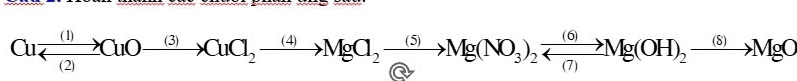 Cuxrightarrow (1)CuOxrightarrow (3)CuOxrightarrow (3)CuCl_2to MgCl_2xrightarrow (5)Mg(NO_3)_2xrightarrow (6)Mg(O