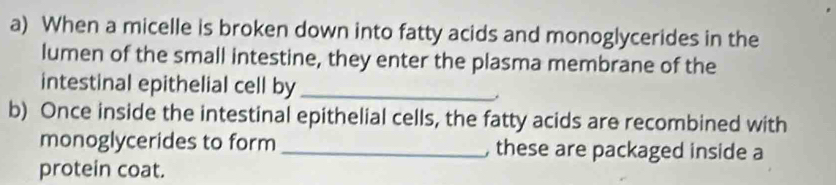 When a micelle is broken down into fatty acids and monoglycerides in the 
lumen of the small intestine, they enter the plasma membrane of the 
intestinal epithelial cell by_ 
b) Once inside the intestinal epithelial cells, the fatty acids are recombined with 
monoglycerides to form _, these are packaged inside a 
protein coat.