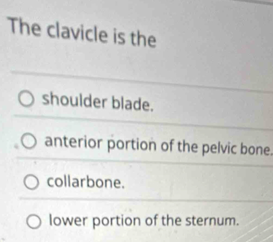 The clavicle is the
shoulder blade.
anterior portion of the pelvic bone.
collarbone.
lower portion of the sternum.