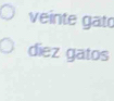 veinte gat 
diez gatos