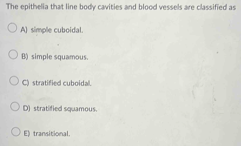 The epithelia that line body cavities and blood vessels are classified as
A) simple cuboidal.
B) simple squamous.
C) stratified cuboidal.
D) stratified squamous.
E) transitional.