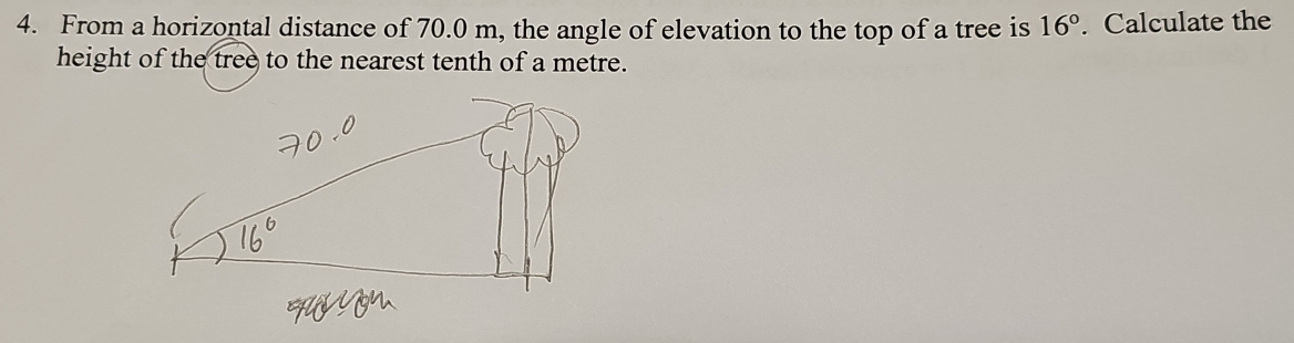 From a horizontal distance of 70.0 m, the angle of elevation to the top of a tree is 16°. Calculate the 
height of the tree to the nearest tenth of a metre.