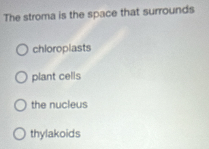 The stroma is the space that surrounds
chloroplasts
plant cells
the nucleus
thylakoids