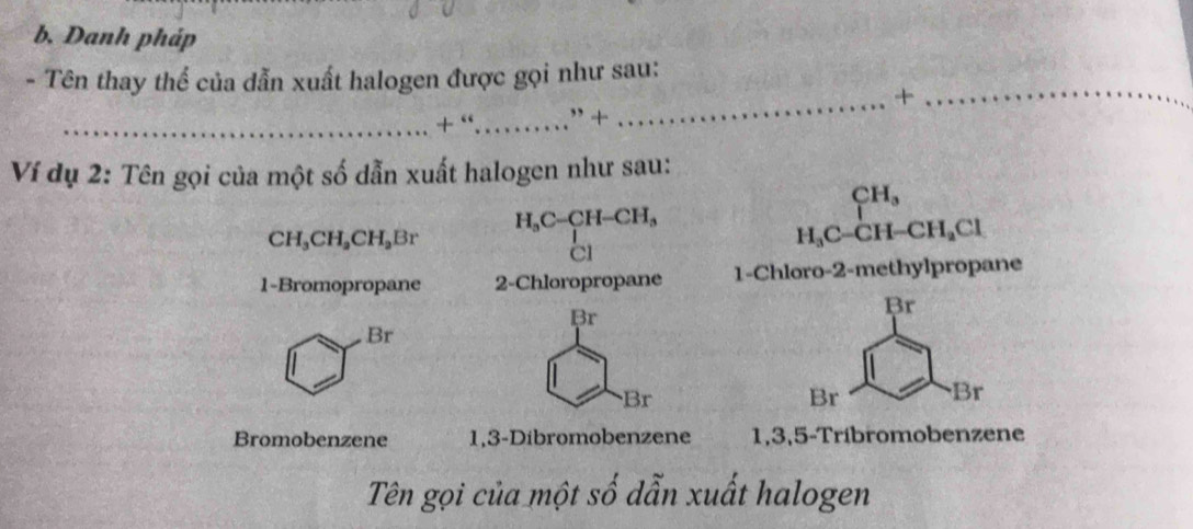 Danh pháp
- Tên thay thể của dẫn xuất halogen được gọi như sau:
_+_
_+ “_ ” 
Ví dụ 2: Tên gọi của một số dẫn xuất halogen như sau:
CH_3
CH_3CH_2CH_2Br beginarrayr H_3C-CH-CH_3^((H-CH_3))Cl
H_3C-CH-CH_2Cl
1-Bromopropane 2 -Chloropropane 1-Chloro- 2 -methylpropane
Br
Br
Br
Br
Br Br
Bromobenzene 1, 3 -Dibromobenzene 1, 3, 5 -Tríbromobenzene
Tên gọi của một số dẫn xuất halogen
