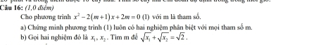 (1,0 điểm)
Cho phương trình x^2-2(m+1)x+2m=0(1) với m là tham số.
a) Chứng minh phương trình (1) luôn có hai nghiệm phân biệt với mọi tham số m.
b) Gọi hai nghiệm đó là x_1, x_2. Tim m đề sqrt(x_1)+sqrt(x_2)=sqrt(2).