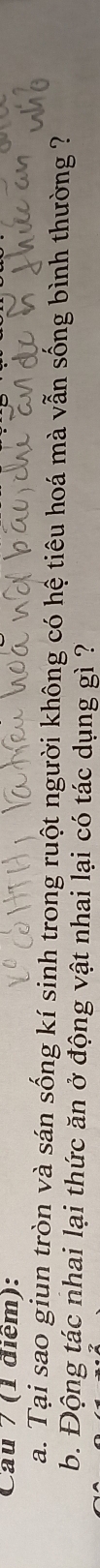 Cau 7 (1 điểm): 
a. Tại sao giun tròn và sán sống kí sinh trong ruột người không có hệ tiêu hoá mà vẫn sống bình thường ? 
b. Động tác nhai lại thức ăn ở động vật nhai lại có tác dụng gì ?