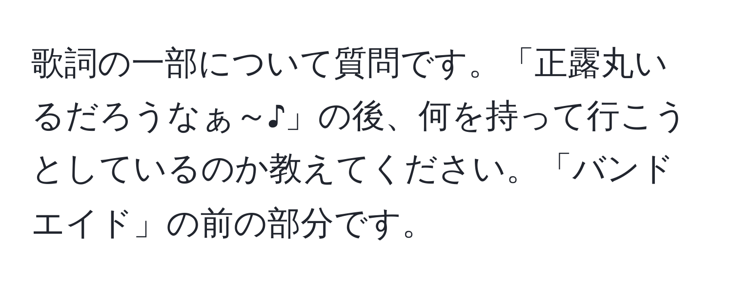 歌詞の一部について質問です。「正露丸いるだろうなぁ～♪」の後、何を持って行こうとしているのか教えてください。「バンドエイド」の前の部分です。