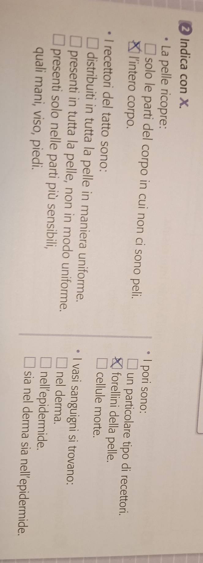 ❷ Indica con X.
La pelle ricopre:
pori sono:
solo le parti del corpo in cui non ci sono peli. un particolare tipo di recettori.
l'intero corpo.
forellini della pelle.
I recettori del tatto sono:
cellule morte.
distribuiti in tutta la pelle in maniera uniforme. I vasi sanguigni si trovano:
presenti in tutta la pelle, non in modo uniforme.
nel derma.
presenti solo nelle parti più sensibili, nell'epidermide.
quali mani, viso, piedi. sia nel derma sia nell’epidermide.