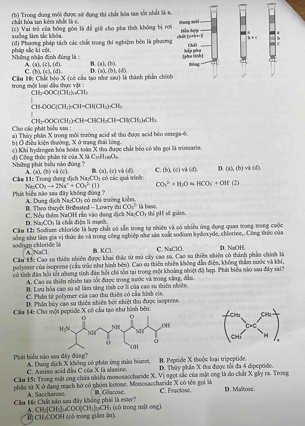 (b) Trong dung môi được sử dụng thì chất hòa tan tốt nhất là a,
chất hòa tan kém nhất là c.
(c) Vai trò của bông gòn là để giữ cho pha tĩnh không bị rơi
xuống làm tắc khóa.
(d) Phương pháp tách các chất trong thí nghiệm bên là phương
pháp sắc kí cột. 
Những nhận định đúng là :
A. (a), (c),(d) B. (a), (b).
C. (b ,(c),(d). D. (a), (b), (d).
Câu 10: Chất béo X (có cấu tạo như sau) là thành phần chính
trong một loại dầu thực vật :
CH_2-OOC(CH_2)_14CH_3
CH-OOC(CH_2)_7CH=CH(CH_2)_7CH_3
CH_2-OOC(CH_2)_7CH=CHCH_2CH=CH(CH_2)_4CH_3.
Cho các phát biểu sau :
a) Thủy phân X trong môi trường acid sẽ thu được acid béo omega-6.
b) Ở điều kiện thường, X ở trạng thái lỏng.
c) Khi hydrogen hóa hoàn toàn X thu được chất béo có tên gọi là tristearin.
d)  Công thức phân tử của X là ( C_55H_100O_6.
Những phát biểu nào đúng ?
A. (a), (b) và (c). B. (a), (c) và (d). C. (b), (c) và (d). D. (a), (b) và (d).
Câu 11: Trong dung dịch N a_2CO_3 có các quá trình:
Na_2CO_3to 2Na^++CO_3^((2-) (1)
CO_3^(2-)+H_2)OLongleftrightarrow HCO_3^(-+OH^-)(2)
Phát biểu nào sau đây không đúng ?
A. Dung dịch Na_2CO_3 có môi trường kiềm.
B. Theo thuyết Brvarnothing nsted - Lowry thì CO_3^((2-) là base.
C. Nếu thêm NaOH rắn vào dung dịch Na _2)CO_3 thì pH sẽ giảm.
D. Na_2CO_3 là chất điện li mạnh.
Câu 12: Sodium chloride là hợp chất có sẵn trong tự nhiên và có nhiều ứng dụng quan trong trong cuộc
sống như làm gia vị thức ăn và trong công nghiệp như sản xuất sodium hydoxyde, chlorine,. Công thức của
sodium chloride là
A. NaCl. B. KCl. C. NaClO. D. NaOH.
Câu 13: Cao su thiên nhiên được khai thác từ mủ cây cao su. Cao su thiên nhiên có thành phần chính là
polymer của isoprene (cấu trúc như hình bên). Cao su thiên nhiên không dẫn điện, không thấm nước và khí,
có tính đàn hồi tốt nhưng tính đàn hồi chi tồn tại trong một khoảng nhiệt độ hẹp. Phát biểu nào sau đây sai?
A. Cao su thiên nhiên tan tốt được trong nước và trong xăng, dầu.
B. Lưu hóa cao su sẽ làm tăng tính cơ lí của cao su thiên nhiên.
C. Phân tử polymer của cao thu thiên có cấu hình cis.
D. Phân hủy cao su thiên nhiên bởi nhiệt thu được isoprene.
Câu 14: Cho một peptide X có cấu tạo như hình bên:
Phát biểu nào sau đây đúng?
A. Dung dịch X không có phản ứng màu biuret. B. Peptide X thuộc loại tripeptide.
C. Amino acid đầu C của X là alanine. D. Thủy phân X thu được tối đa 4 dipeptide.
Câu 15: Trong mật ong chứa nhiều monosaccharide X. Vị ngọt sắc của mật ong là do chất X gây ra. Trong
phân tử X ở dạng mạch hở có nhóm ketone. Monosaccharide X có tên gọi là
A. Saccharose. B. Glucose. C. Fructose.
D. Maltose.
Câu 16: Chất nào sau đây không phải là ester?
A. CH_3[CH_2]_14COO[CH_2] _29CH_3 (có trong mật ong).
B CH₃COOH (có trong giấm ăn).