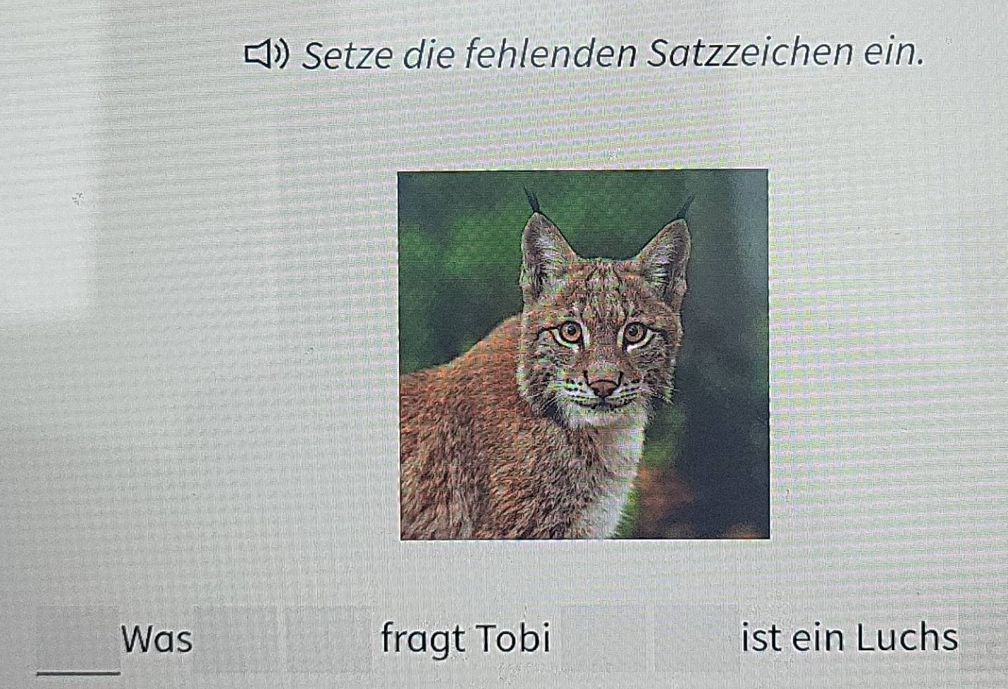 Setze die fehlenden Satzzeichen ein. 
Was fragt Tobi ist ein Luchs