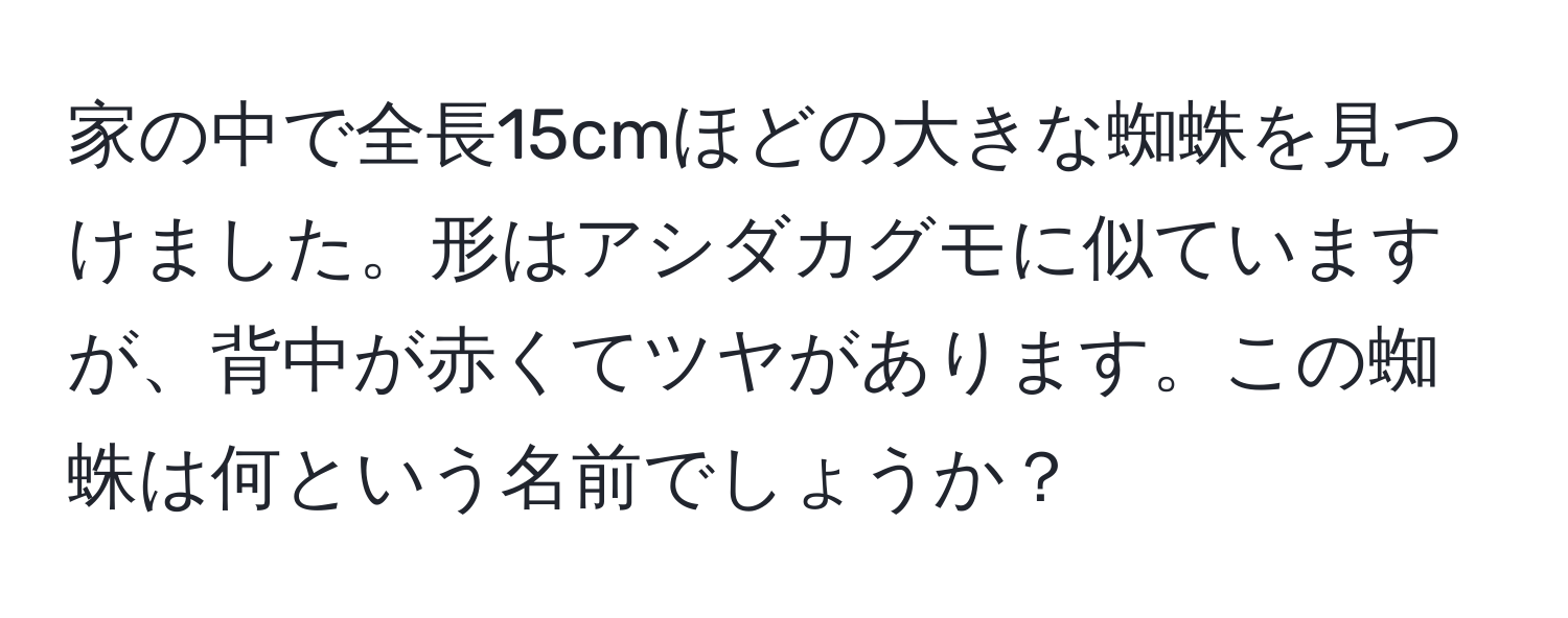 家の中で全長15cmほどの大きな蜘蛛を見つけました。形はアシダカグモに似ていますが、背中が赤くてツヤがあります。この蜘蛛は何という名前でしょうか？