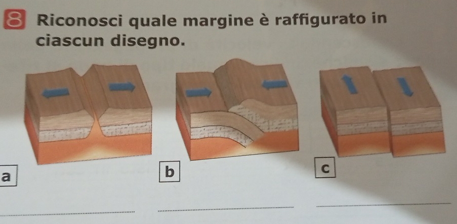 Riconosci quale margine è raffigurato in 
ciascun disegno. 
1 
C 
a 
b 
_ 
_ 
_