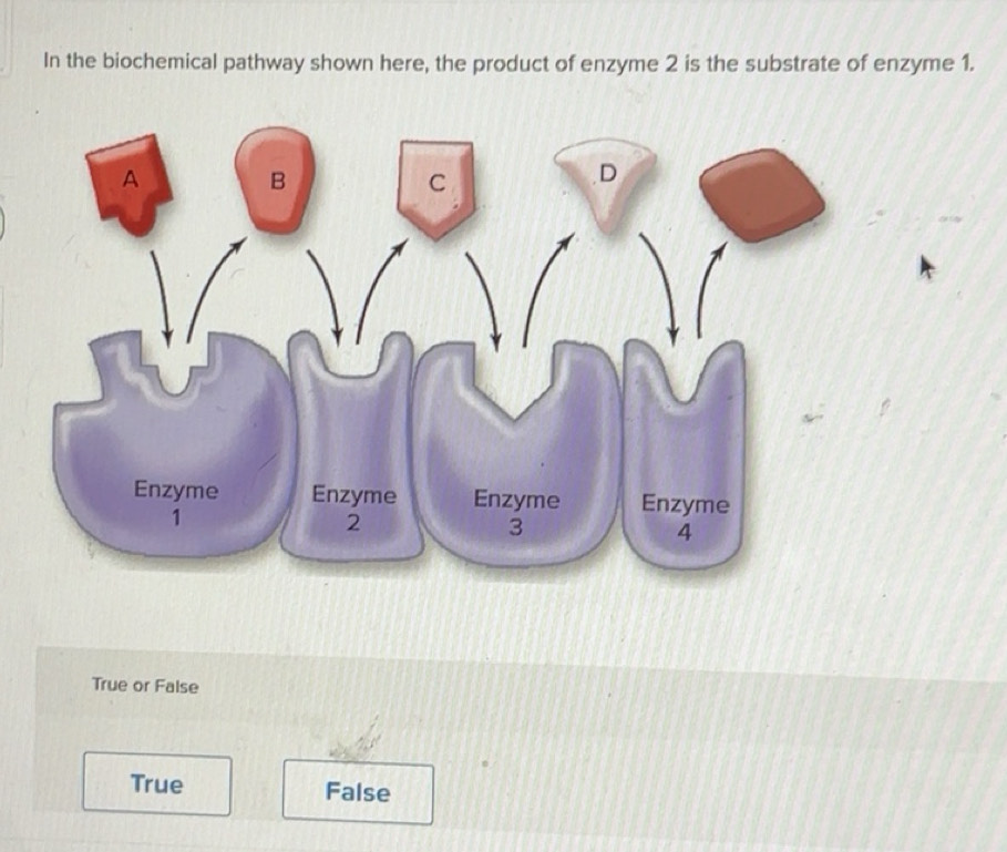 Solved: In the biochemical pathway shown here, the product of enzyme 2 ...
