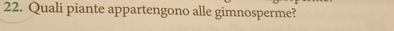 Quali piante appartengono alle gimnosperme?