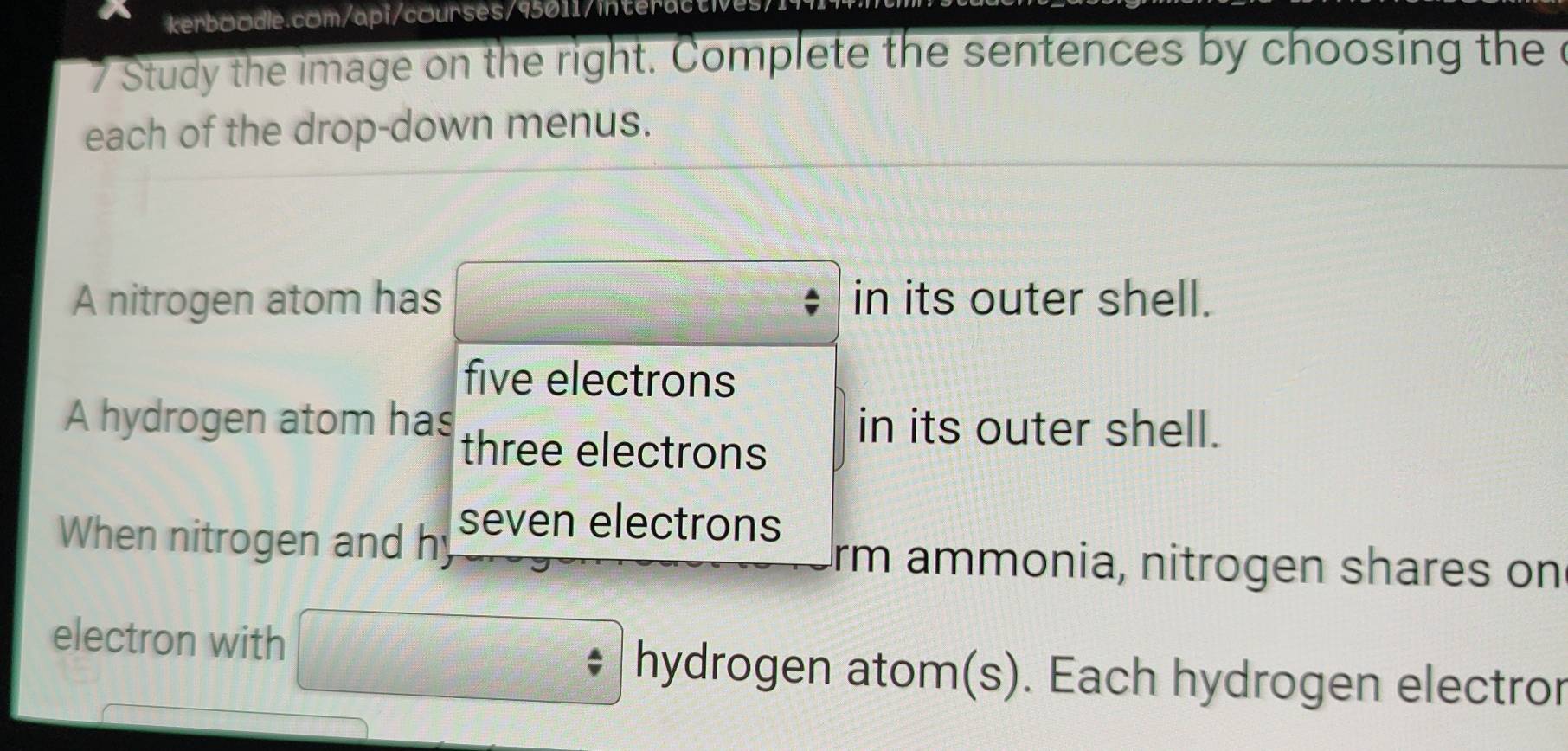 kerbo odle.com/api/courses/95011intera 
7 Study the image on the right. Complete the sentences by choosing the c 
each of the drop-down menus. 
A nitrogen atom has in its outer shell. 
five electrons 
A hydrogen atom has three electrons 
in its outer shell. 
When nitrogen and hy seven electrons 
rm ammonia, nitrogen shares on 
electron with 
hydrogen atom(s). Each hydrogen electror