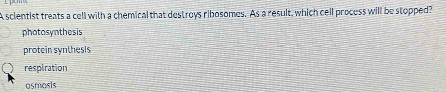 poit
A scientist treats a cell with a chemical that destroys ribosomes. As a result, which cell process will be stopped?
photosynthesis
protein synthesis
respiration
osmosis