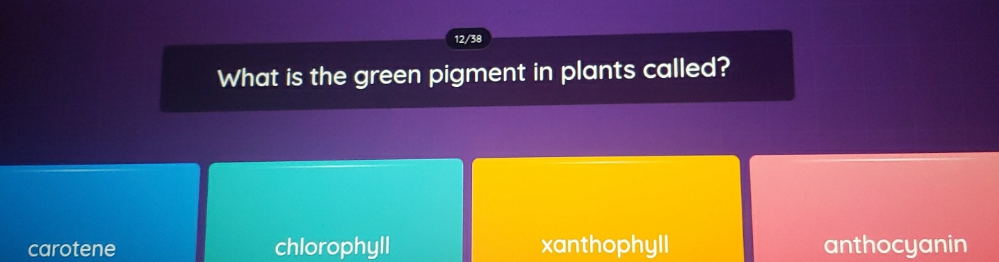 12/38
What is the green pigment in plants called?
carotene chlorophyll xanthophyll anthocyanin