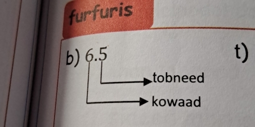 furfuris
b) 6.5 t)
tobneed
kowaad