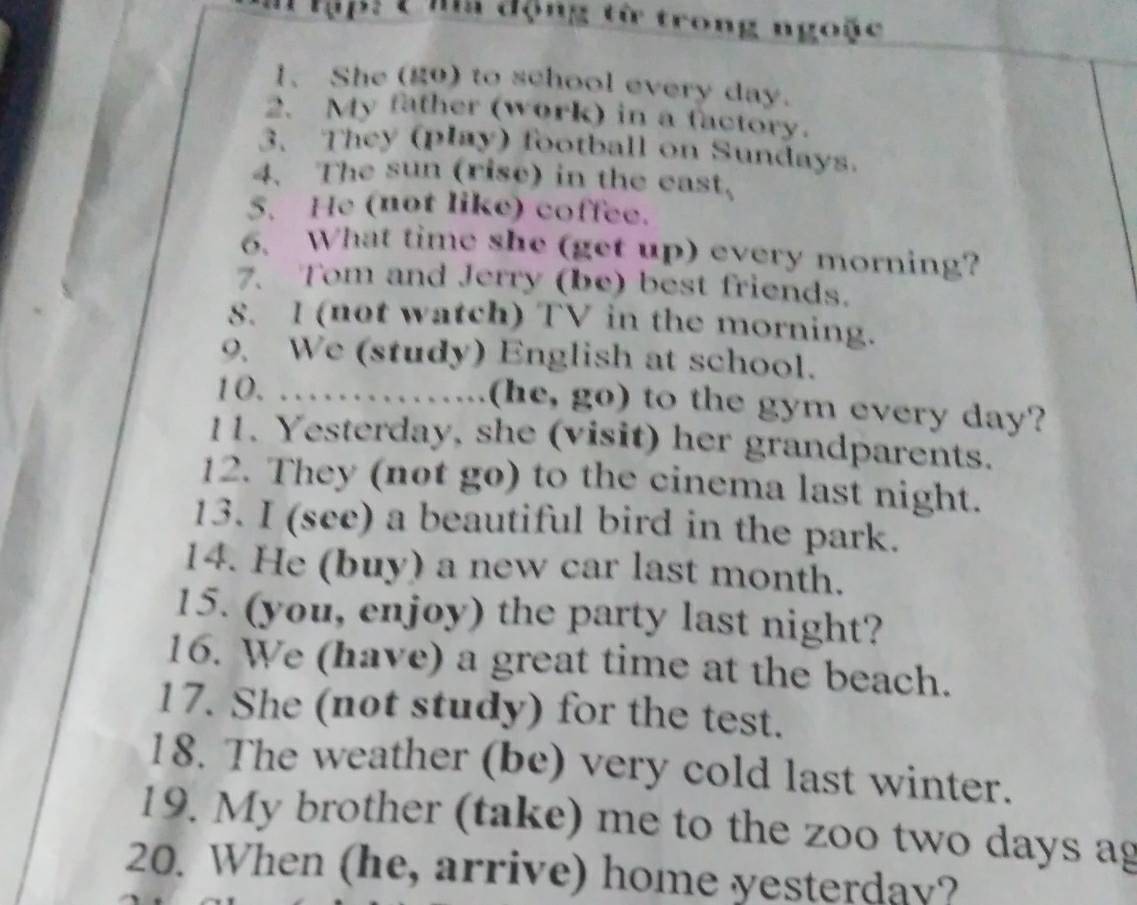 Ma động từ trong ngoặc 
1、 She (g9) to school every day. 
2. My father (work) in a factory. 
3. They (play) football on Sundays. 
4. The sun (rise) in the east, 
5. He (not like) coffee. 
6、 What time she (get up) every morning? 
7. Tom and Jerry (be) best friends. 
8. I (not watch) TV in the morning. 
9. We (study) English at school. 
10............. . (he, go) to the gym every day? 
11. Yesterday, she (visit) her grandparents. 
12. They (not go) to the cinema last night. 
13. I (see) a beautiful bird in the park. 
14. He (buy) a new car last month. 
15. (you, enjoy) the party last night? 
16. We (have) a great time at the beach. 
17. She (not study) for the test. 
18. The weather (be) very cold last winter. 
19. My brother (take) me to the zoo two days ag 
20. When (he, arrive) home yesterday?