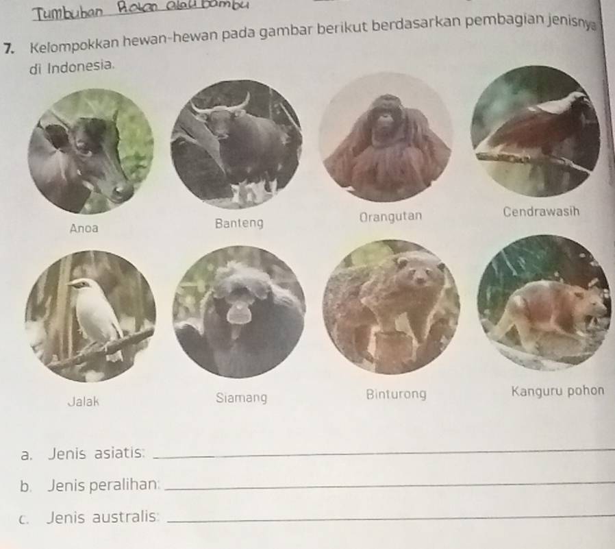 Kelompokkan hewan-hewan pada gambar berikut berdasarkan pembagian jenisny 
on 
a. Jenis asiatis: 
_ 
b. Jenis peralihan 
_ 
c. Jenis australis:_