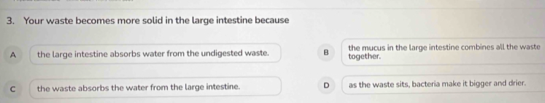 Your waste becomes more solid in the large intestine because
A the large intestine absorbs water from the undigested waste. B together. the mucus in the large intestine combines all the waste
C the waste absorbs the water from the large intestine. D as the waste sits, bacteria make it bigger and drier.