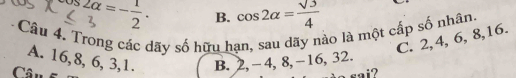 ≤slant beginarrayr 2alpha =- 1/2 . ≤slant 3endarray
B. cos 2alpha = sqrt(3)/4 
Câu 4. Trong các dãy số hữu hạn, sau dãy nào là một cấp số nhân.
C. 2, 4, 6, 8, 16.
A. 16, 8, 6, 3, 1. B. 2, - 4, 8, −16, 32.
Câu 6