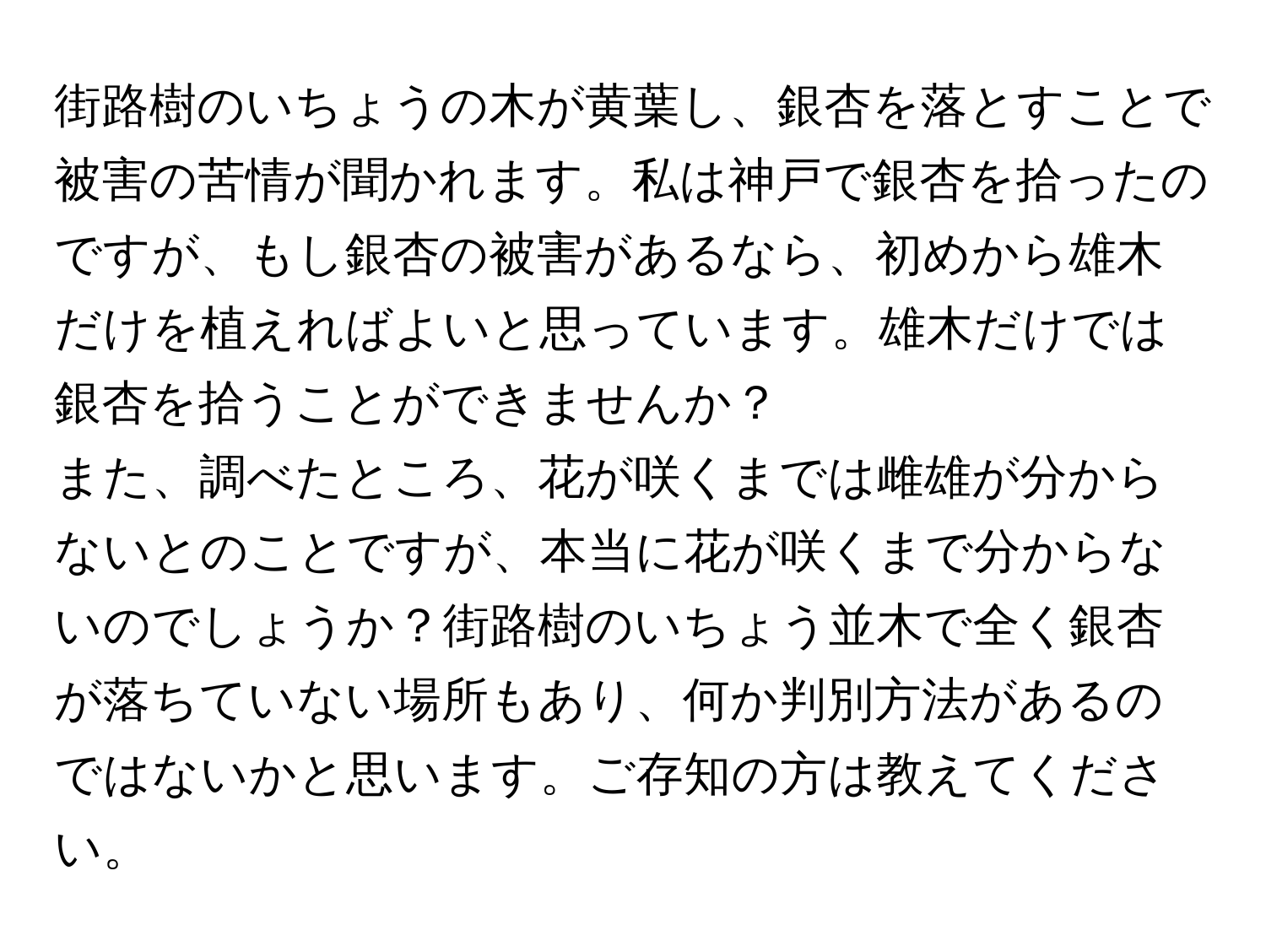 街路樹のいちょうの木が黄葉し、銀杏を落とすことで被害の苦情が聞かれます。私は神戸で銀杏を拾ったのですが、もし銀杏の被害があるなら、初めから雄木だけを植えればよいと思っています。雄木だけでは銀杏を拾うことができませんか？  
また、調べたところ、花が咲くまでは雌雄が分からないとのことですが、本当に花が咲くまで分からないのでしょうか？街路樹のいちょう並木で全く銀杏が落ちていない場所もあり、何か判別方法があるのではないかと思います。ご存知の方は教えてください。