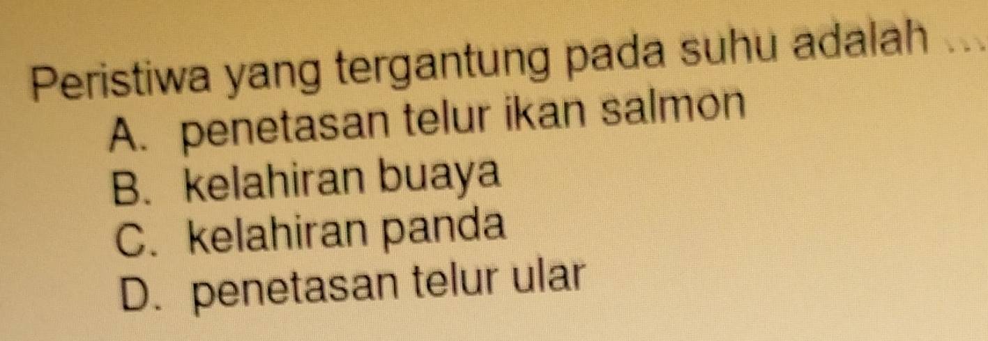 Peristiwa yang tergantung pada suhu adalah
A. penetasan telur ikan salmon
B. kelahiran buaya
C. kelahiran panda
D. penetasan telur ular